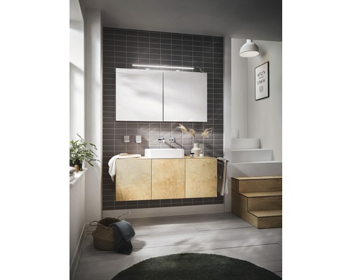 LED spiegelkast mee AP 100 cm 2-deurs