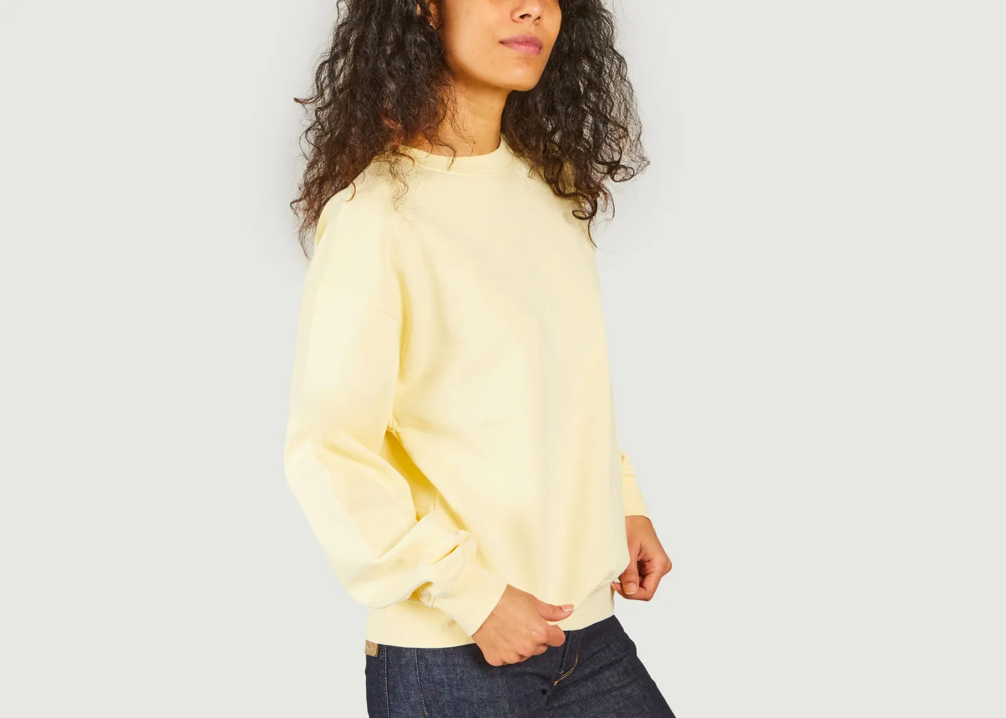 Sweatshirt en coton bio Colorful Standard