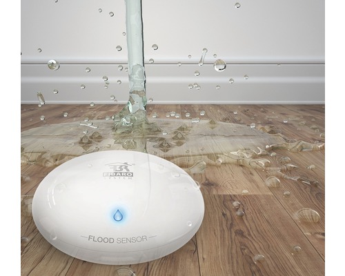 Fibaro waterdetector met temperatuursensor - Compatibel met SMART HOME van hornbach