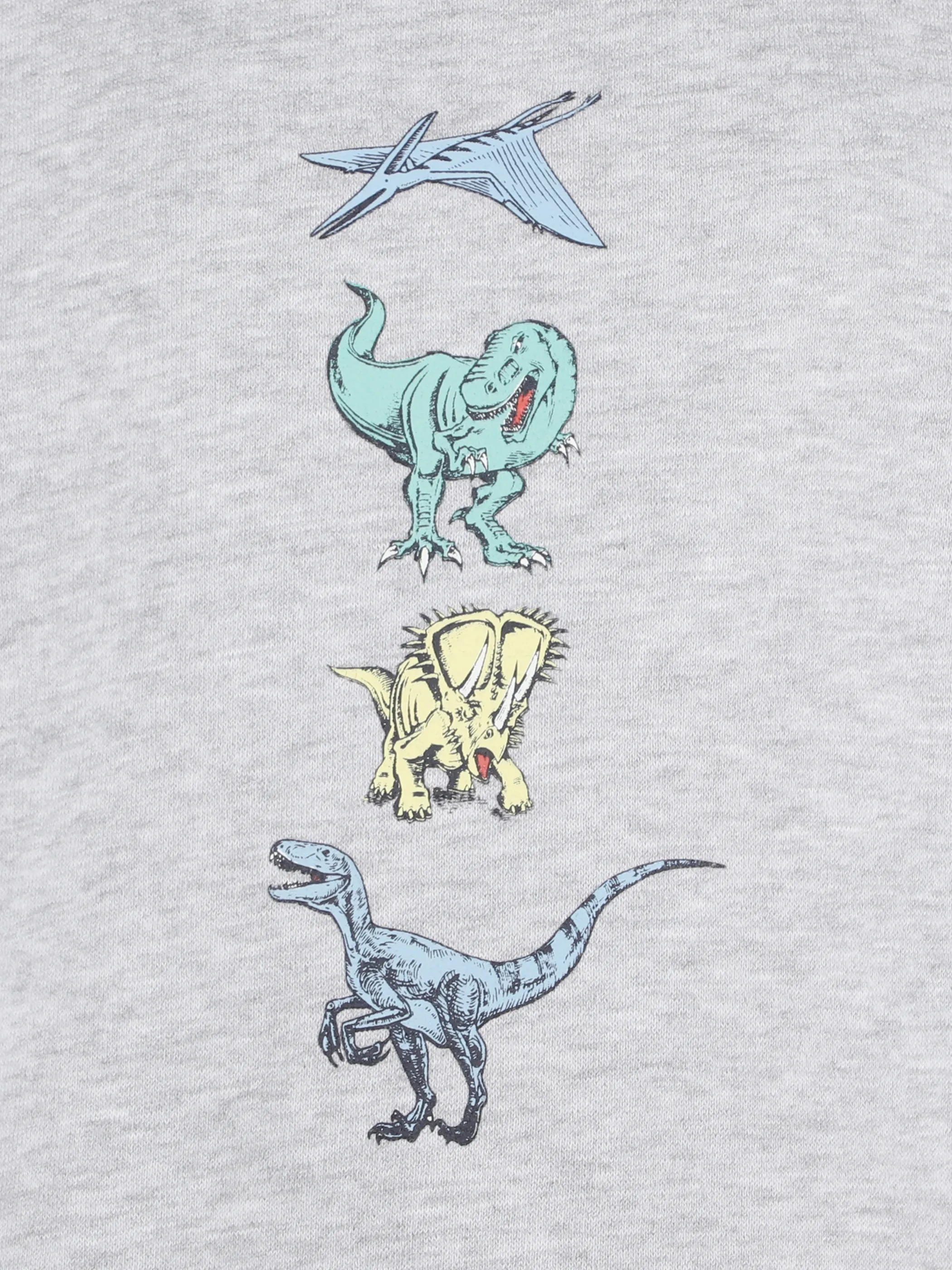 Jungen Sweatshirt mit Folienprint