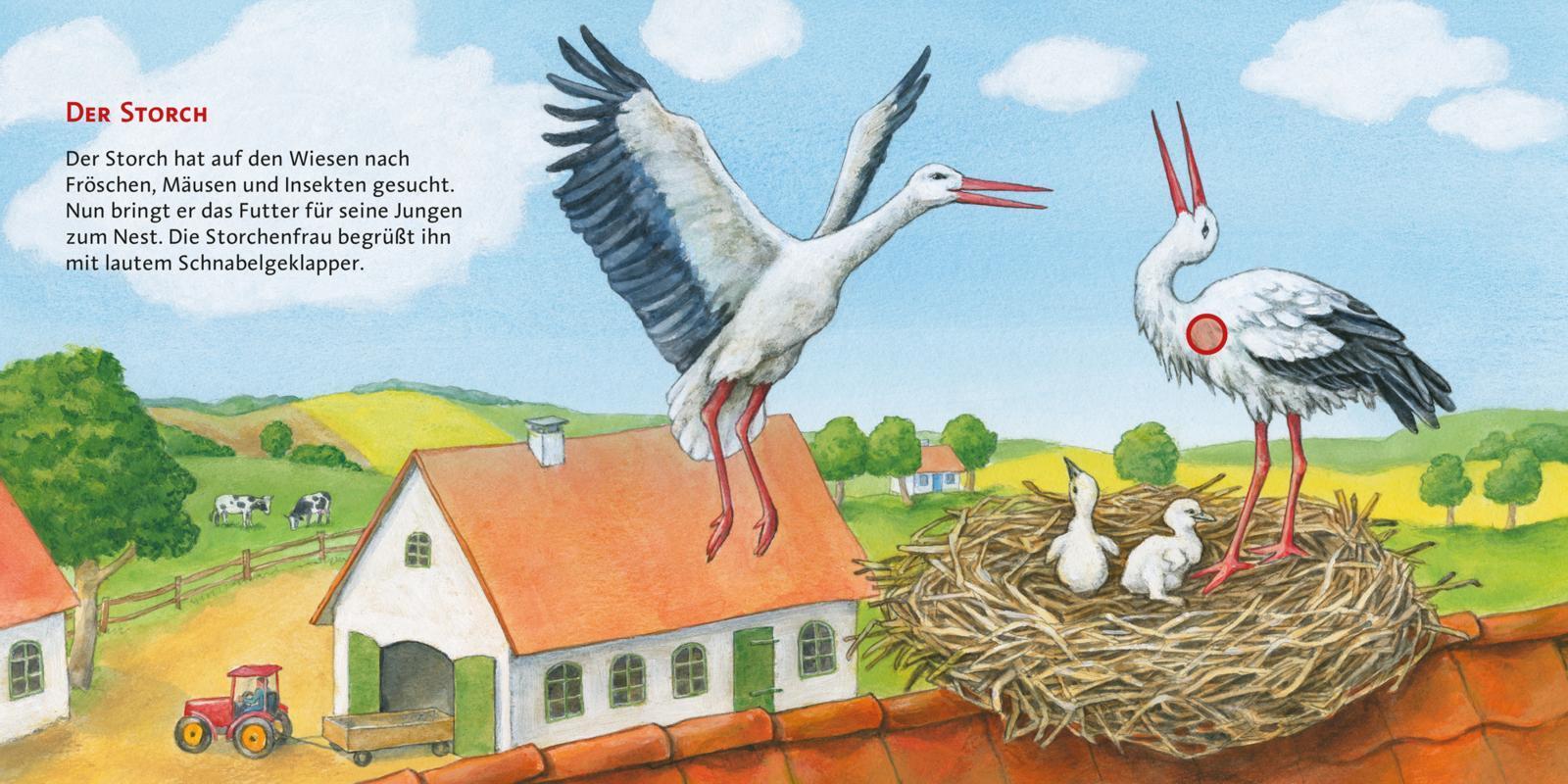 Unsere Vögel / Hör mal Bd.4
