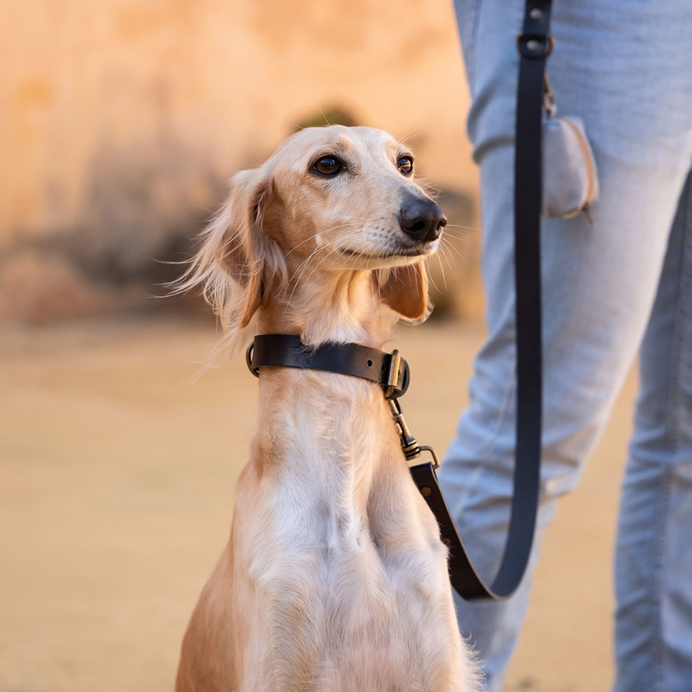 Guia para cães Bark Gaucho Premium em couro preto