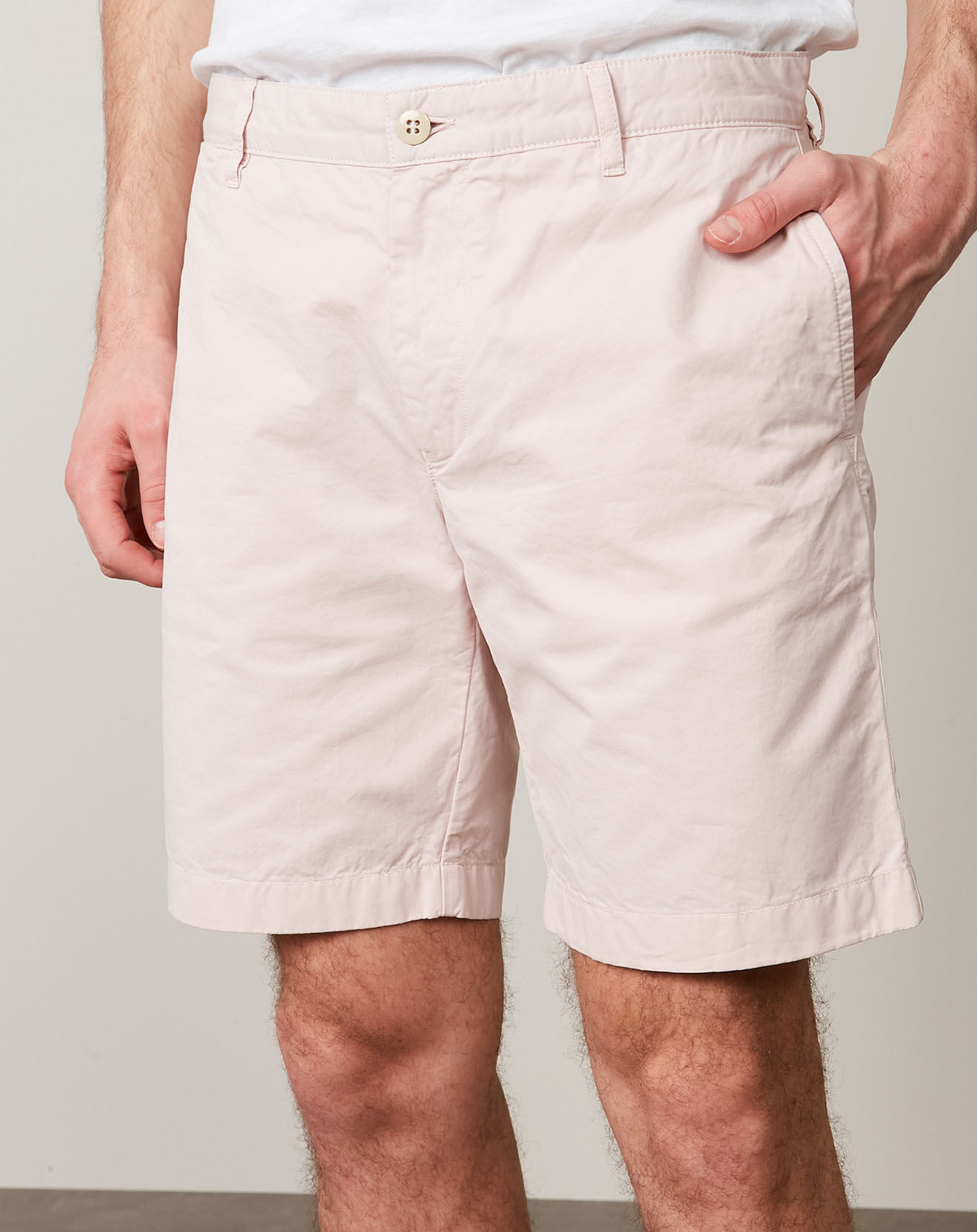 Hartford Short Texas  rose