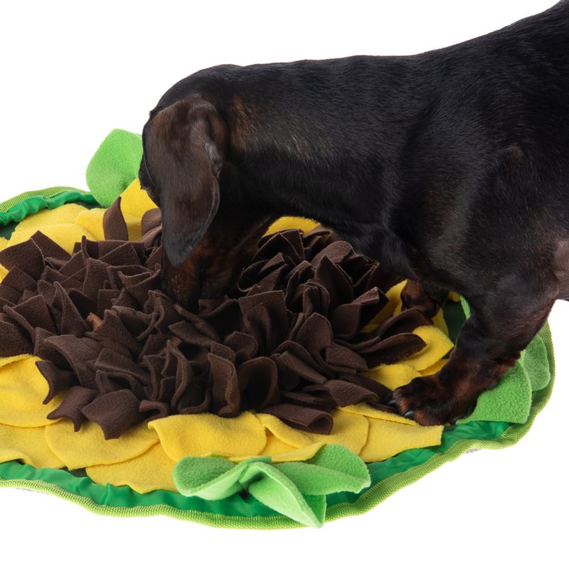 Tapis de fouille Sunnyflower