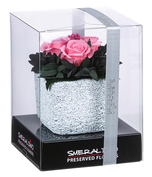 Dehner Keramik-Schale mit Longlife-Rose Izzy,