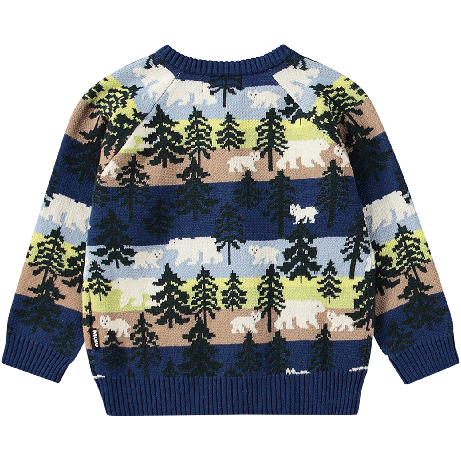 Brody - Forest Bears