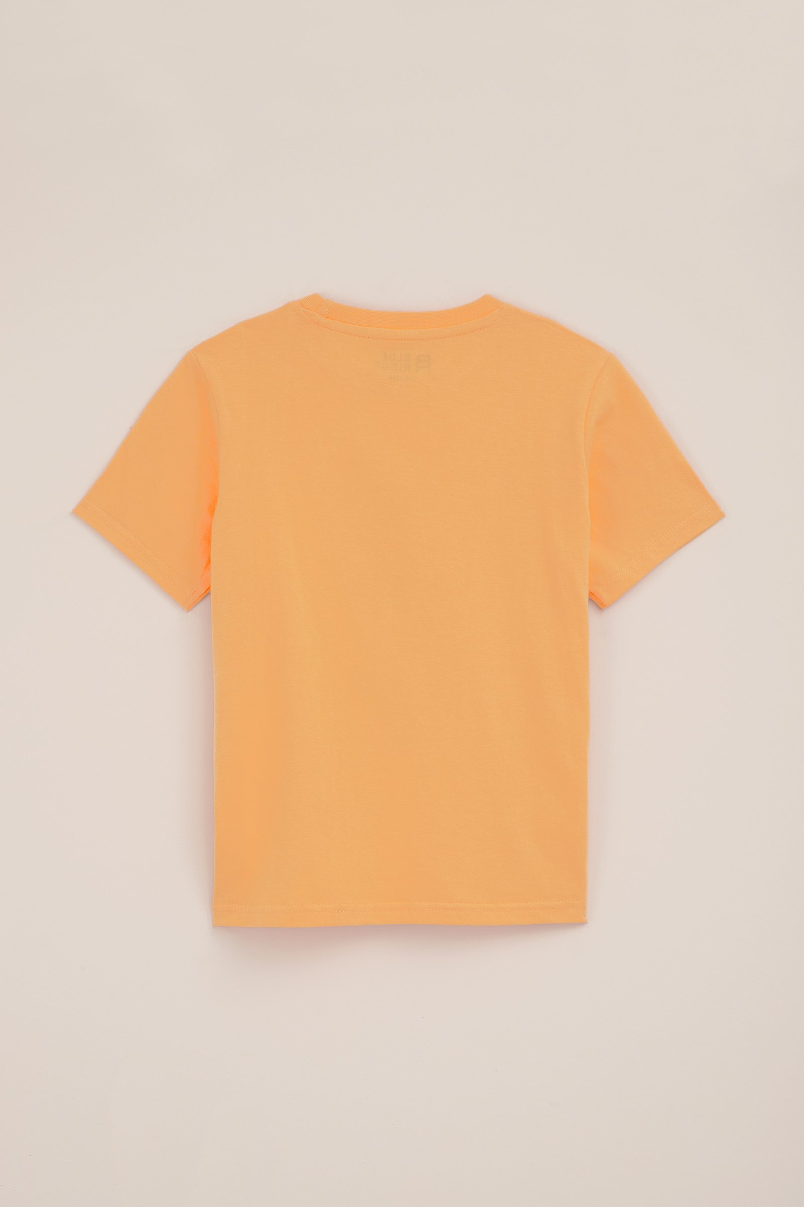 Jongens T-shirt met opdruk WE Fashion Feloranje