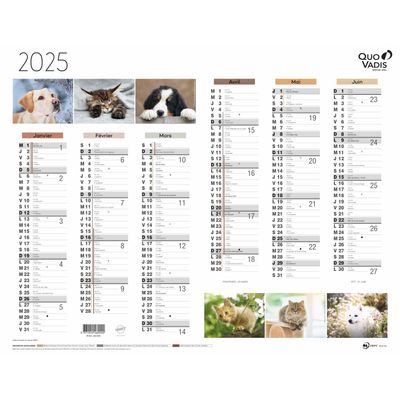 Quo Vadis - Calendrier Fantaisie 6 mois par face - 43 x 33,5 cm - animaux