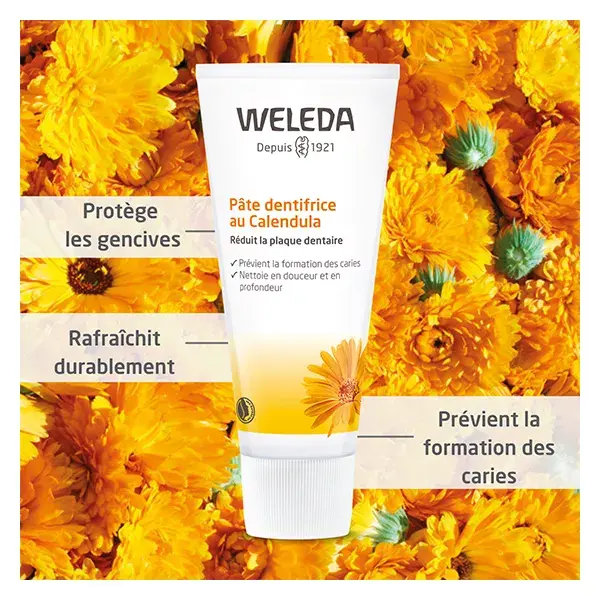 Weleda Soin Bucco-Dentaire Pâte Dentifrice au Calendula Lot de 2 x 75ml