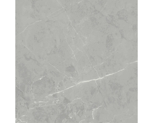 Steengoed wand- en vloertegel Davos grijs 60 x 60 x 0,9 cm glanzend