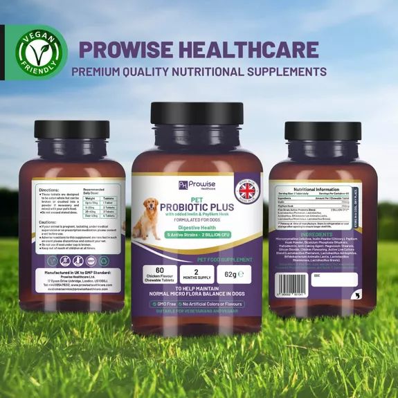 Prowise Healthcare - Pet Probiotic Plus