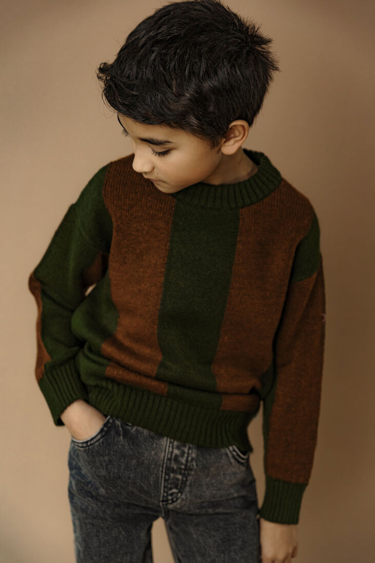 AMMEHOELA multi ammehoela trui am.jumper.20