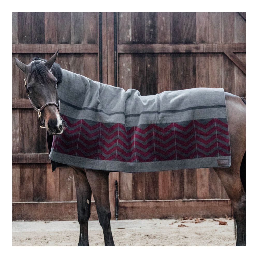 Kentucky HEAVY FLEECE 210X200 cm - Chemise séchante grey/bordeaux