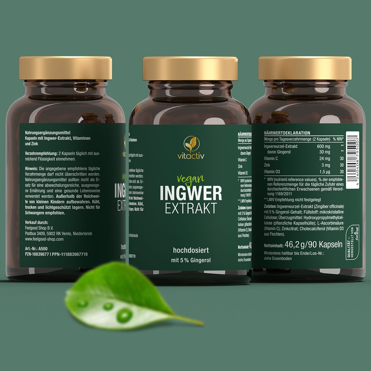 Vitactiv Ingwer Extrakt
