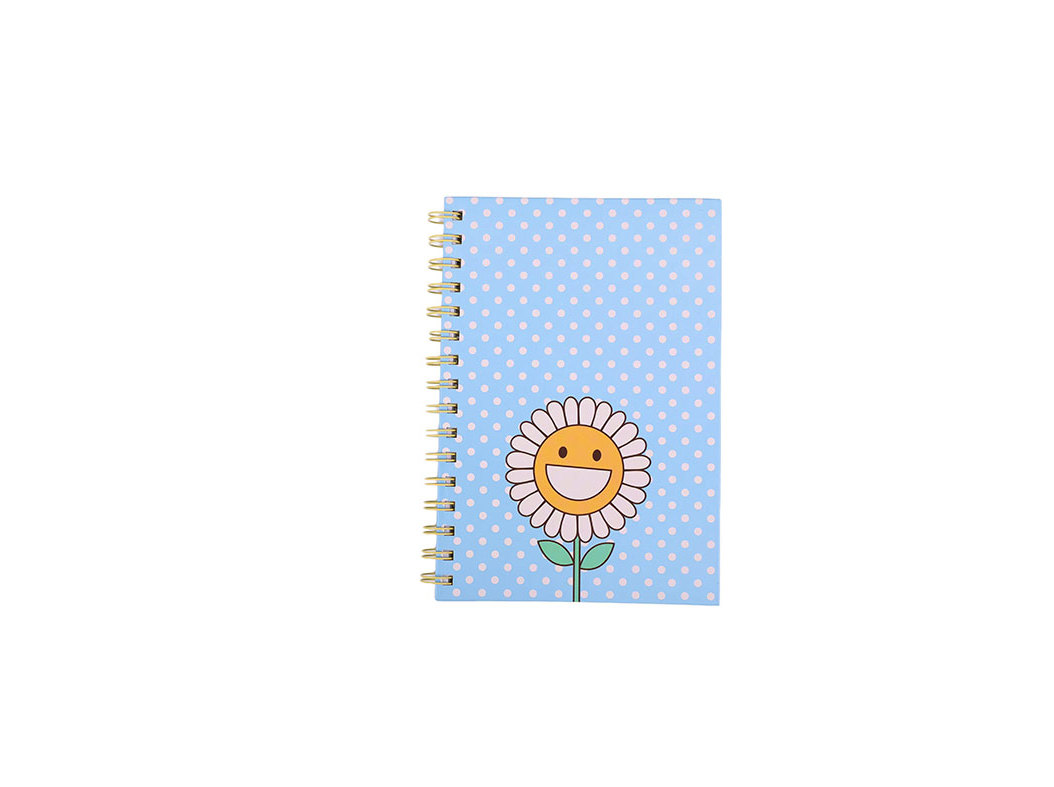CADERNO A5 ESPIRAL AUCHAN AZUL 80F
