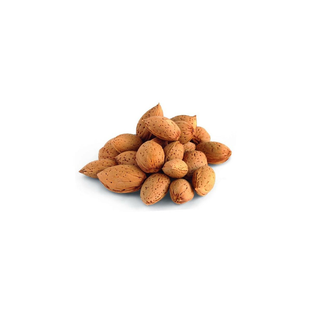 Amandier nain mini mandier® - nain de jardin®/prunus dulcis mini mandier® - nain de jardin®[-]pot de 5l