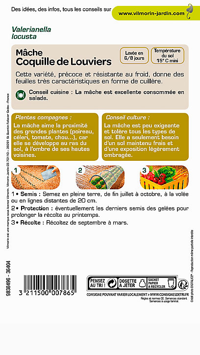 Graines de Mâche Verte de Louviers Vilmorin