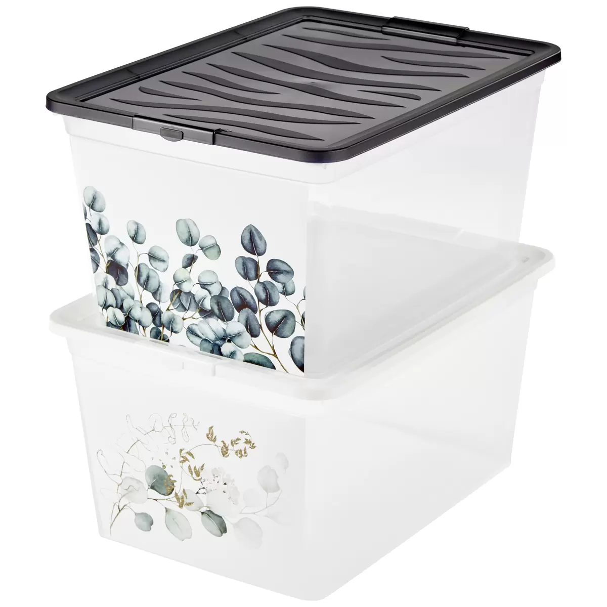 Aufbewahrungsbox mit Deckel Eukalyptus anthrazit,transparent