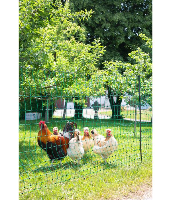 KERBL Geflügelnetz PoultryNet Doppelspitze,