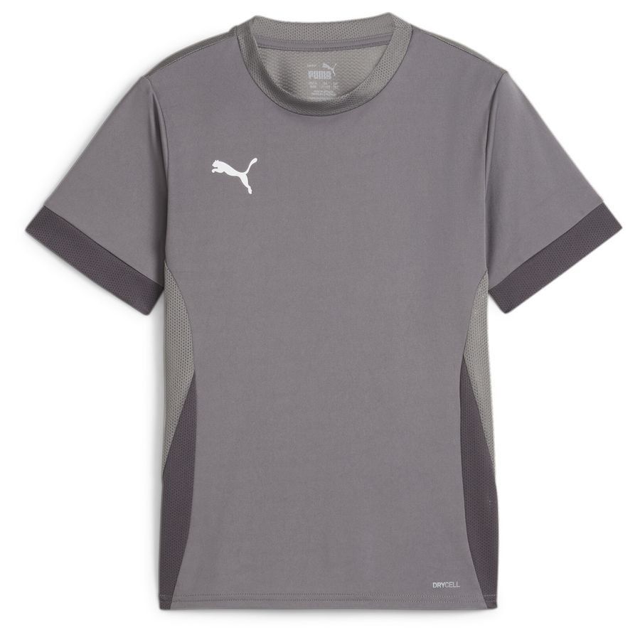 PUMA T-shirt d'Entraînement teamGOAL - Gris/Blanc Enfant