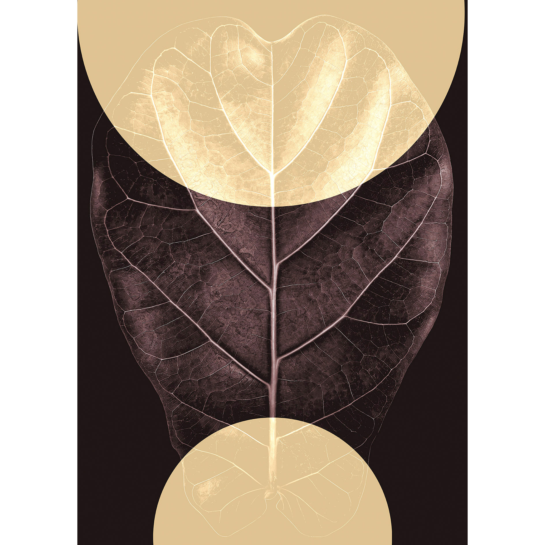 Wandbild SHADOW THEATRE - braun - 50x70 cm