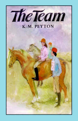 The Team (Paperback)
