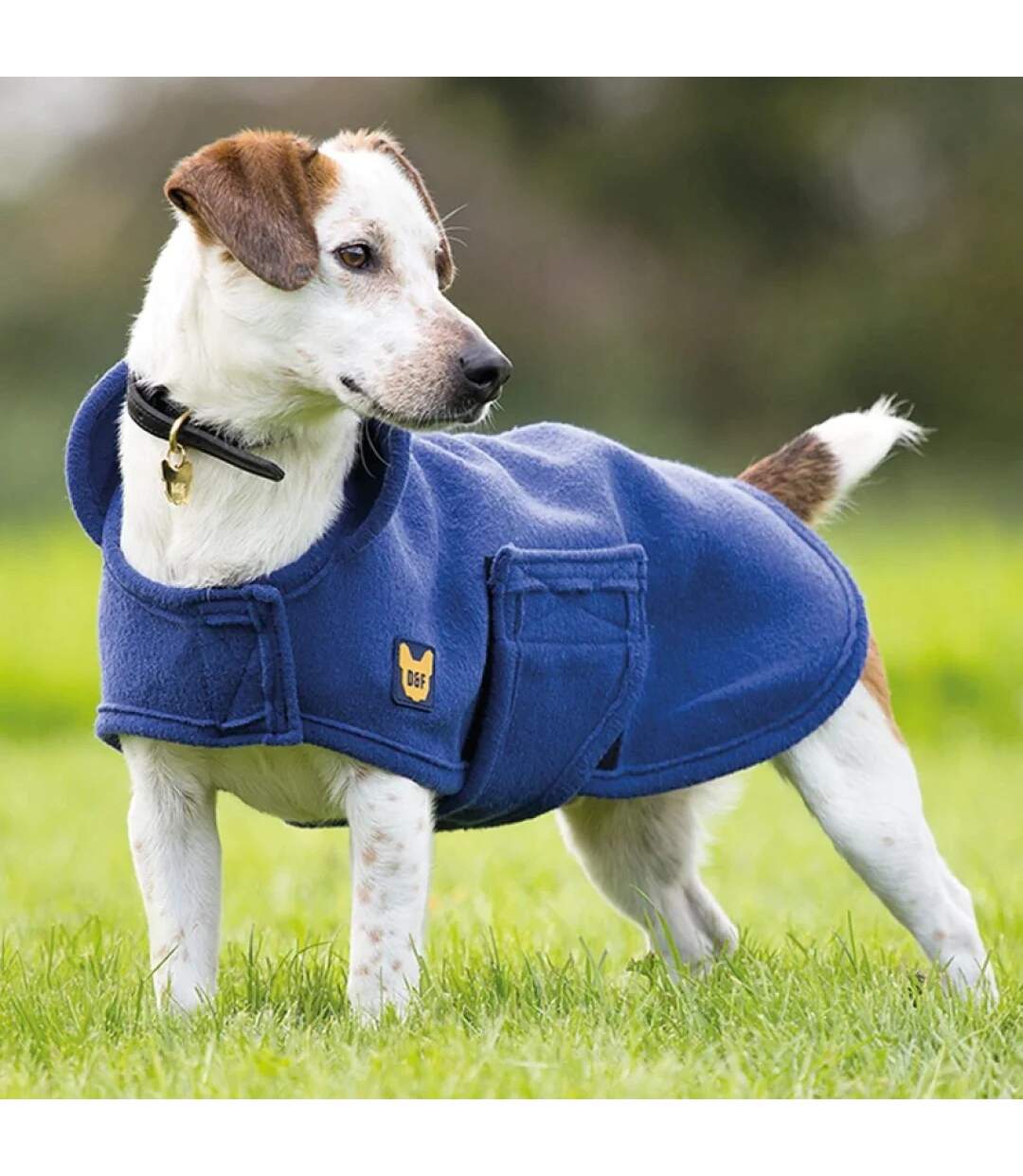 Digby & Fox - Manteau sec pour chiens (Bleu marine) (L) - UTER1492