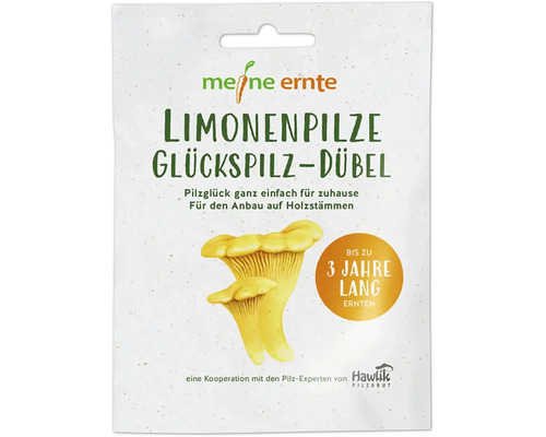 Paddenstoelen kweekset 
