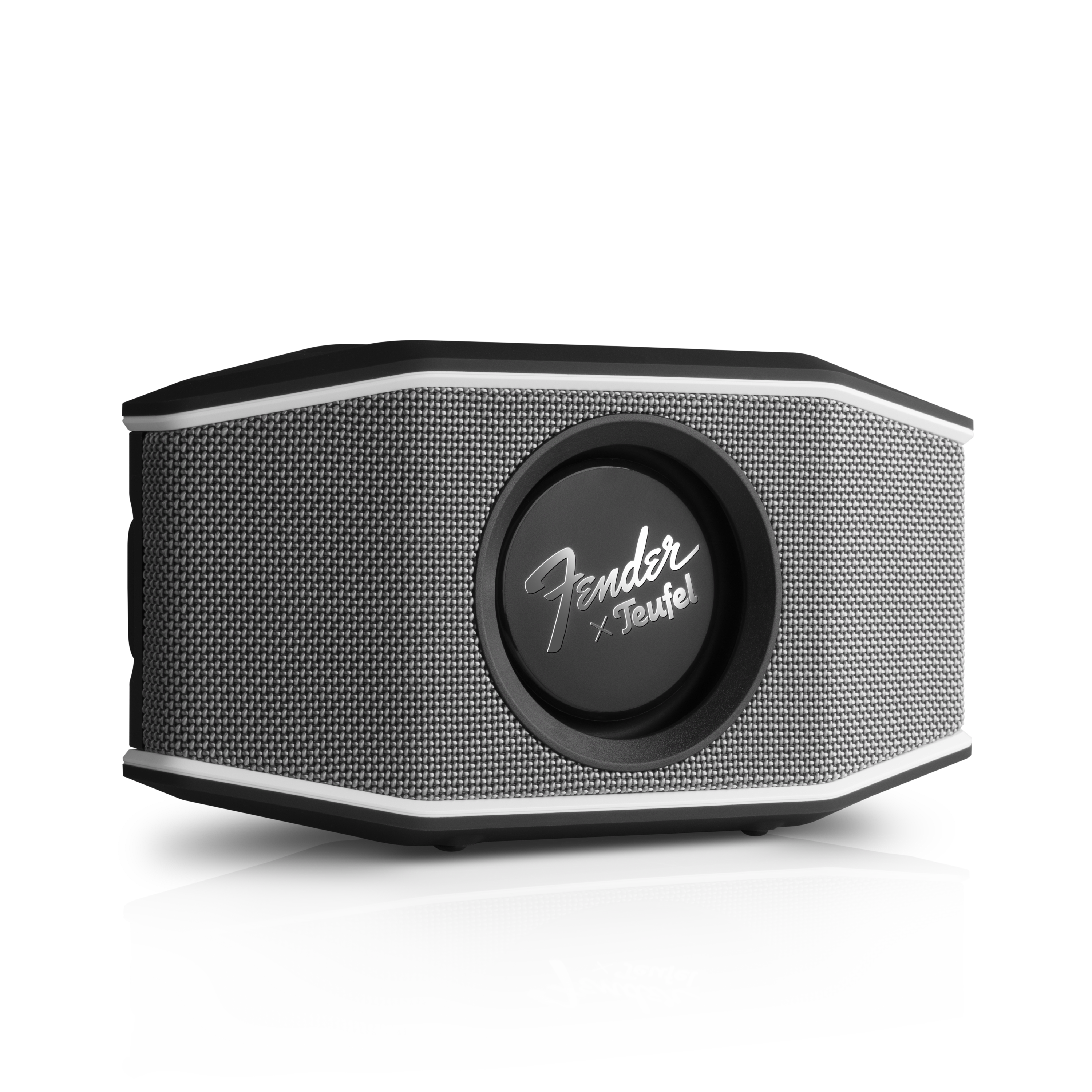 Fender x Teufel ROCKSTER GO 2