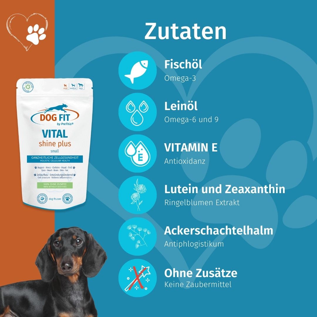 DOG FIT by PreThis® VITAL shine plus » Augen, Herz, Gehirn, Organe Präparat für Hunde (small)