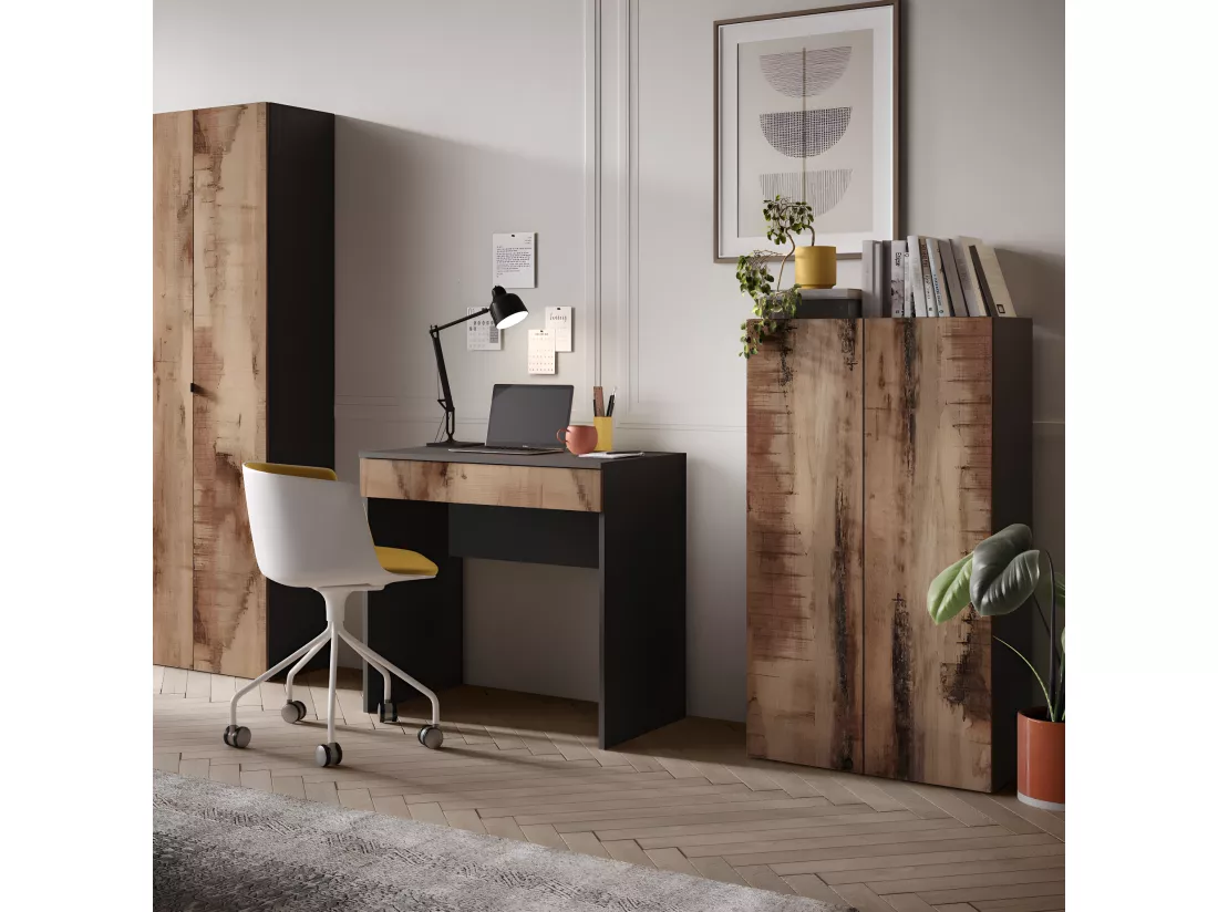 Armoire de bureau 2 portes 2 étagères Noir/Bois fumé - TORINO