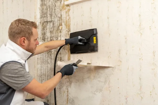 Wagner SteamForce Speed Pro Damp-tapetopløser 2750 W