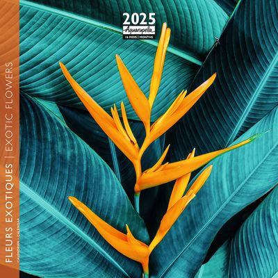 Calendrier mensuel 16x16 cm - 16 mois - Fleurs exotiques