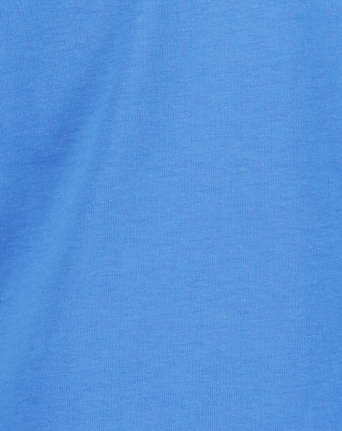 T-Shirt LION GRRRR in blau