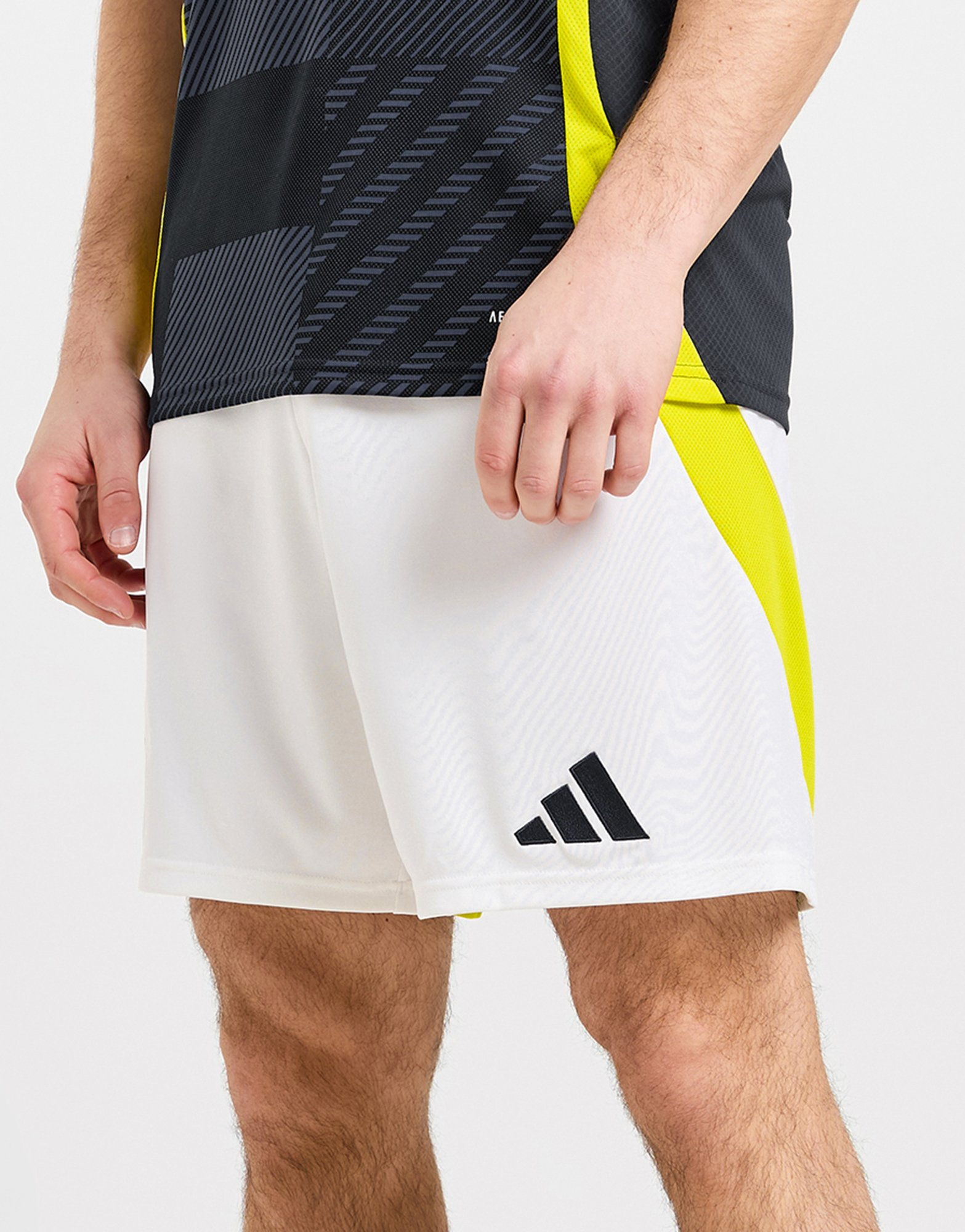 adidas Short Ecosse 2024 Match Domicile Homme