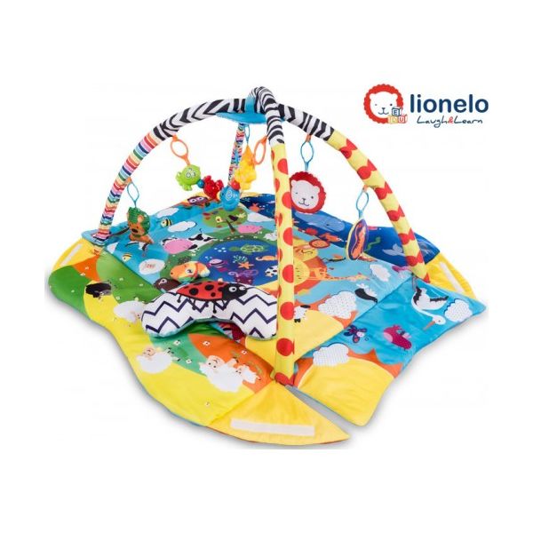 Lionelo Ginásio de Atividades Anika