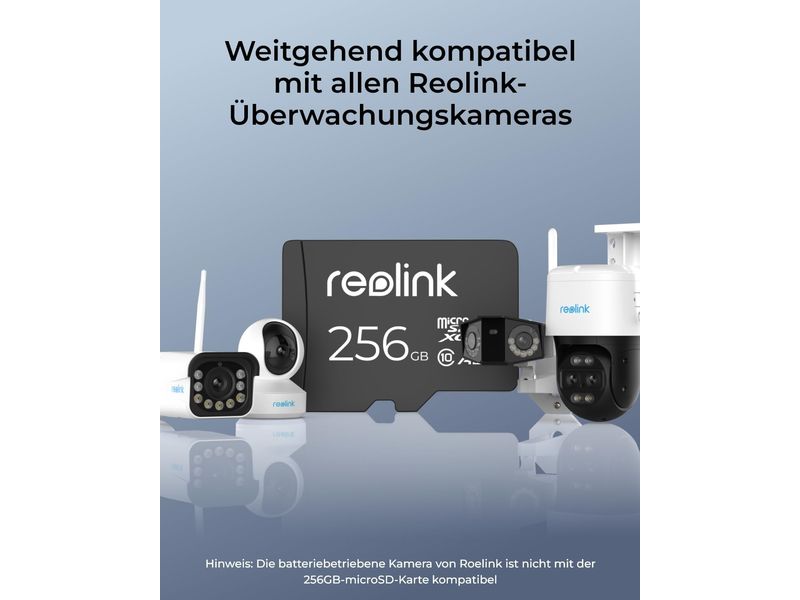 Reolink Zubehör Speicherkarte RL-MicroSD-256 GB 1 Stück Micro-SD Card 256 GB für alle Reolink Kameras