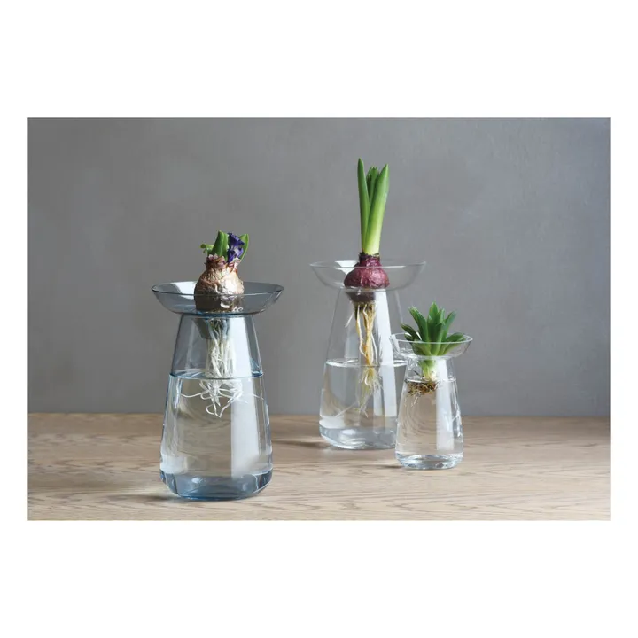 Kinto Vase en verre Aquaculture | Transparent