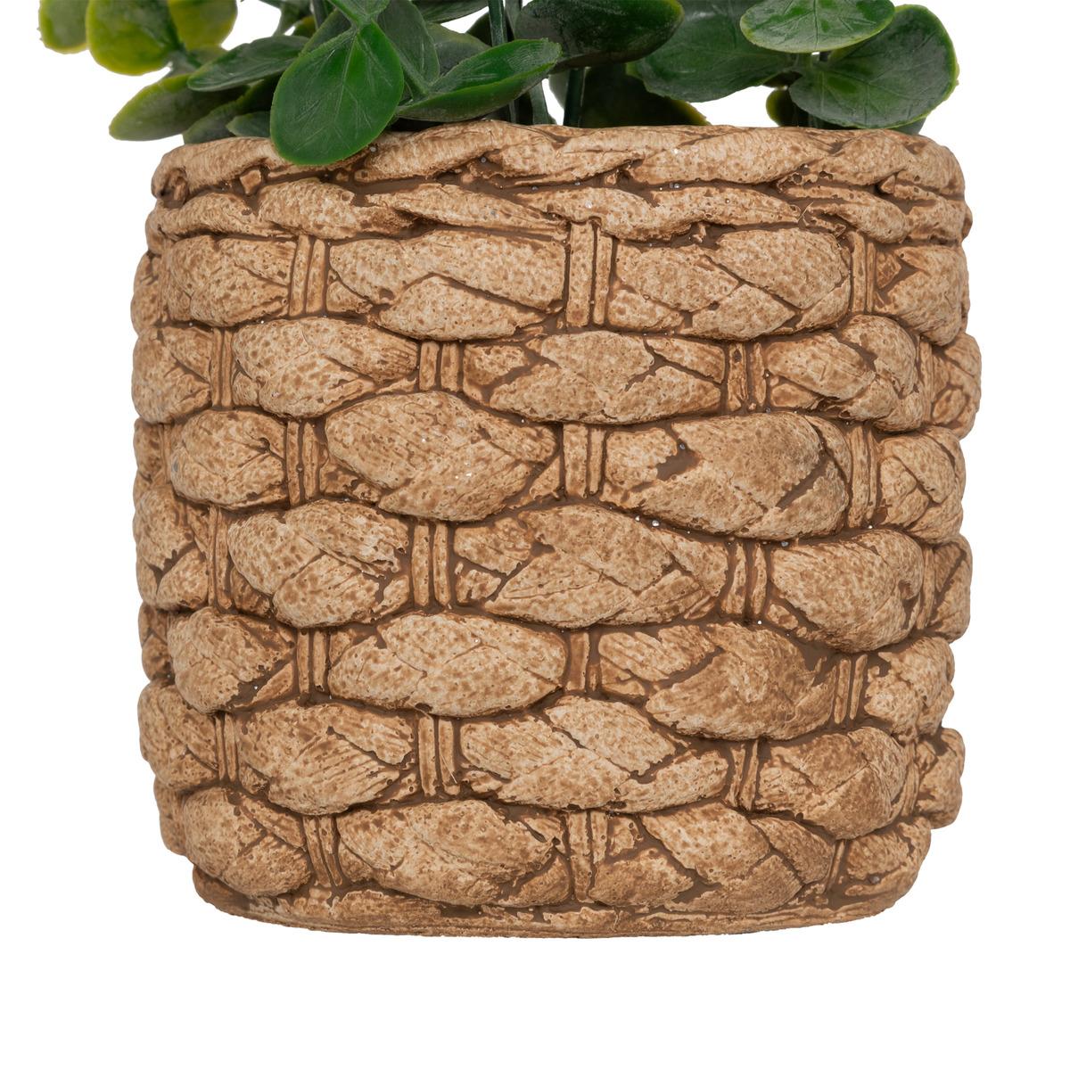 EUCALYPTUS POT CIMENT TRESSE JAYE H.27CM