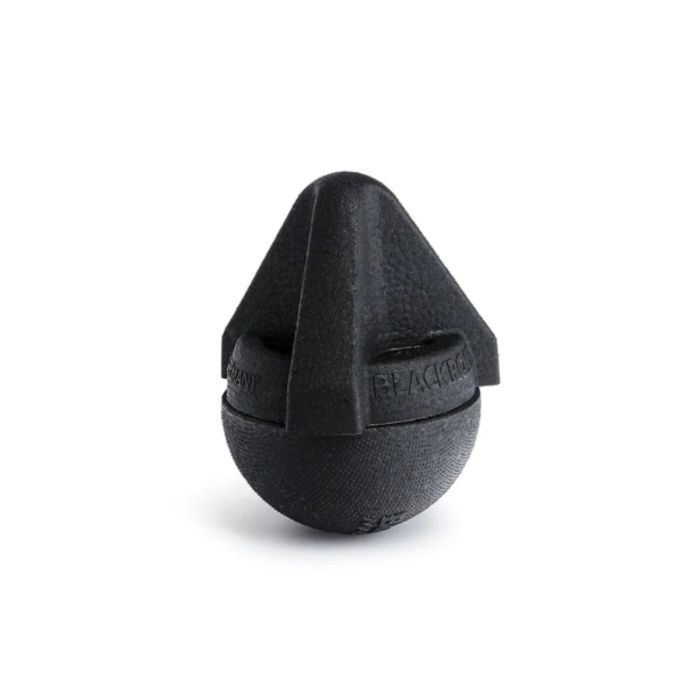 Blackroll Unisex Velvære og massage Back Box Sort