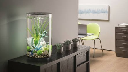 biOrb Tube 35 MCR Wit  | Aquarium