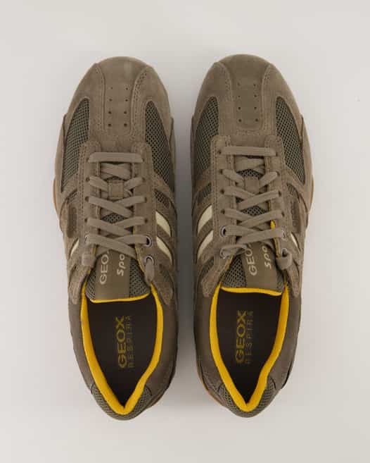 Geox UOMO SNAKE Sneaker in Braun