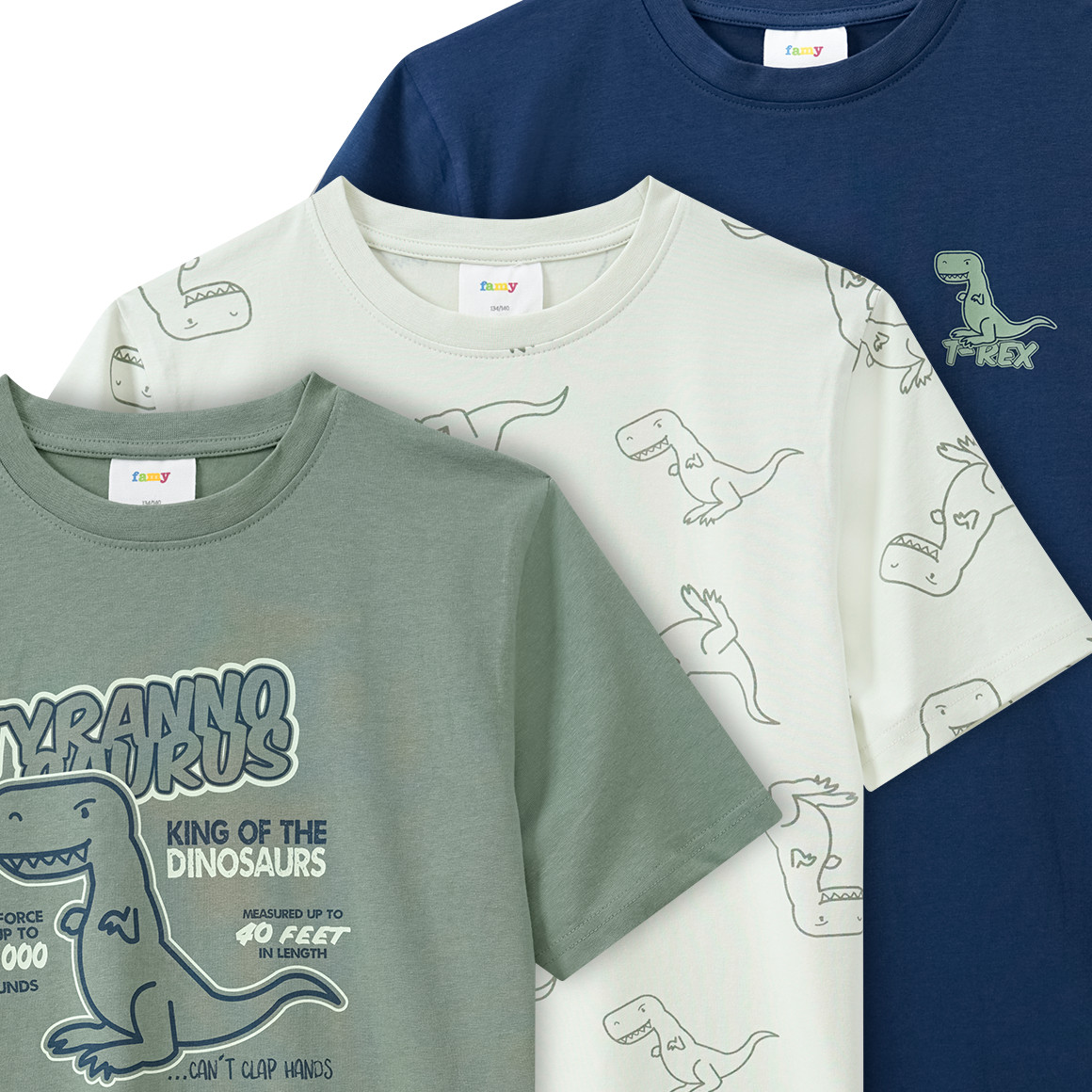 Famy 3 Jungen T-Shirts mit Dino-Prints salbei / hellgrün / blau