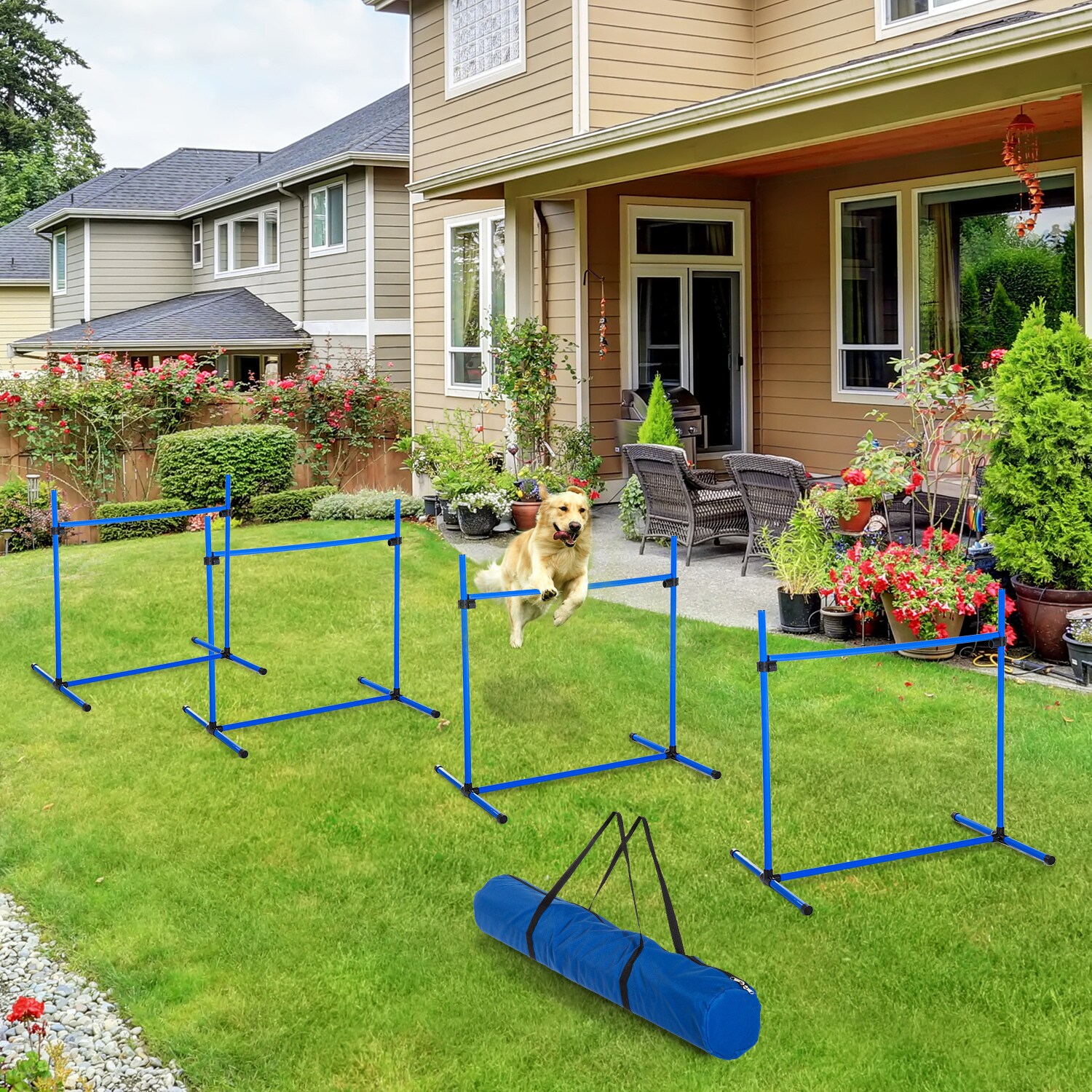 PawHut Agility Hürdenset als 4er Set blau 95 x 65 x 95 cm (LxBxH)