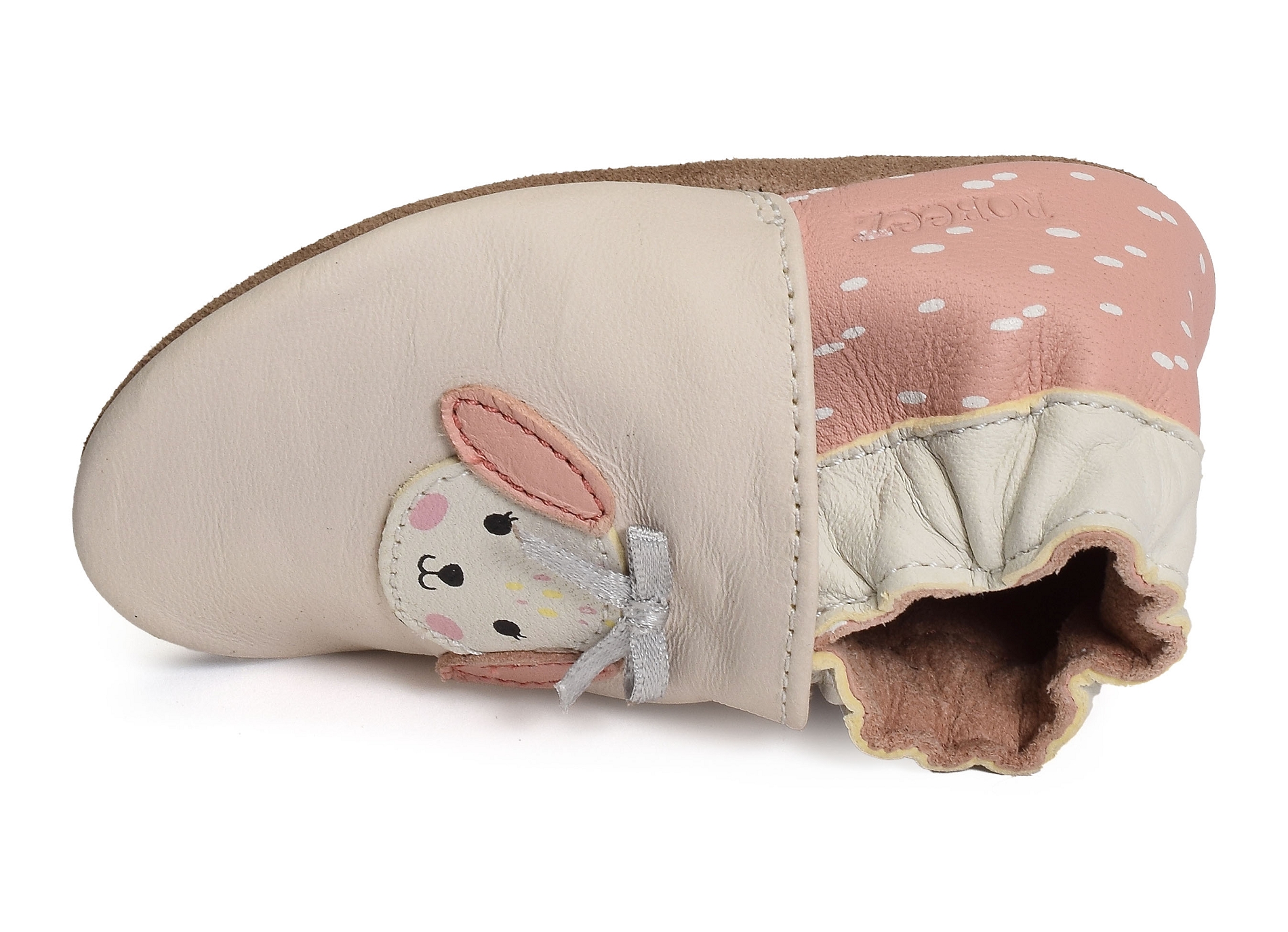 Colorfull dog beige rose
