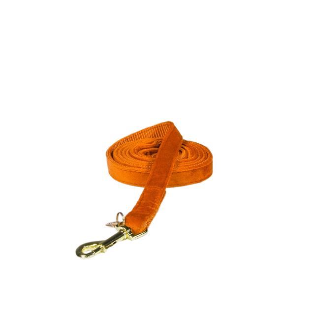 Hondenriem Kentucky Velvet 120cm Small Oranje