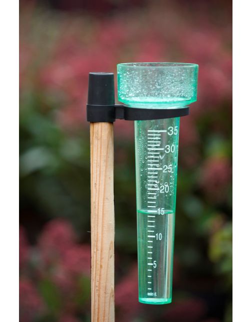 Nature Regenmeter - Regenmeter - 8.5x8.5x24.5 cm Transparant