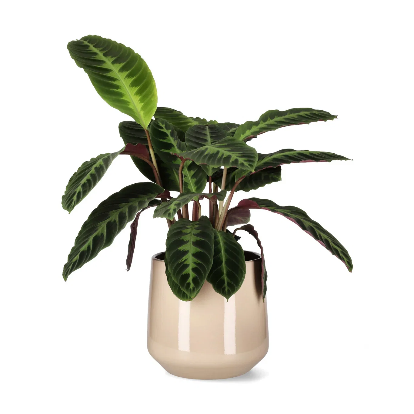 Potte Ida Ø24 cm