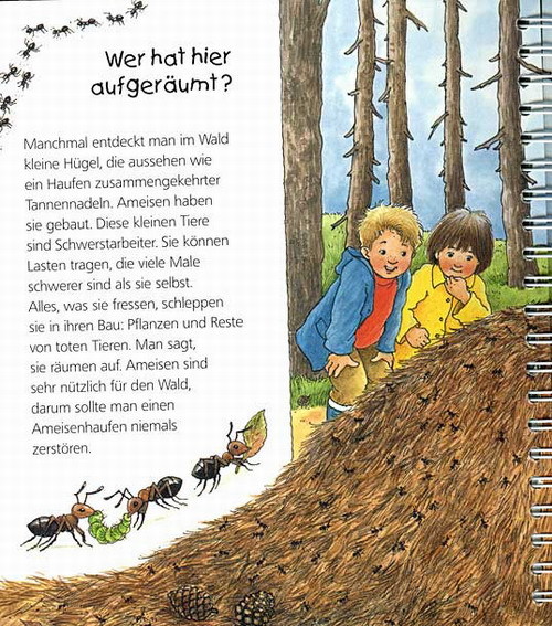 Der Wald / Wieso? Weshalb? Warum? Junior Bd.6