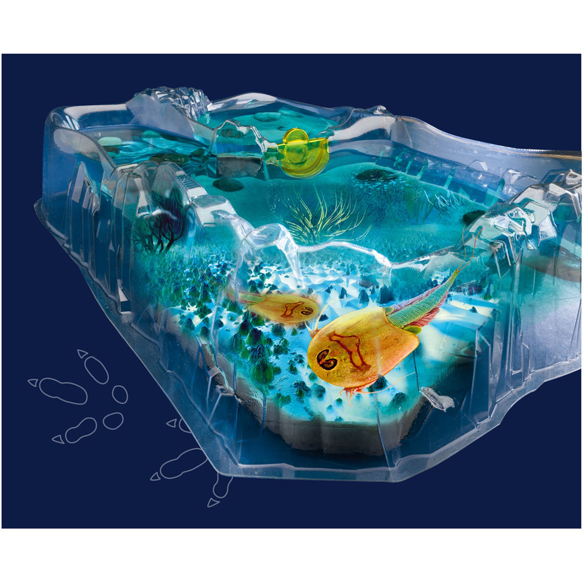 Kosmos Experimentierkasten Fun Science Triops züchten